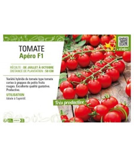 TOMATE CERISE