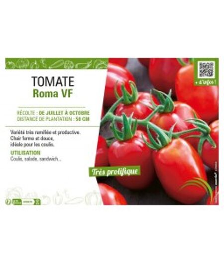 TOMATE ROMA