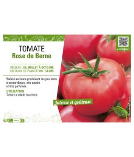 TOMATE ROSE DE BERNE