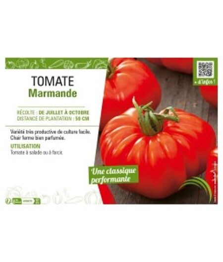 TOMATE MARMANDE