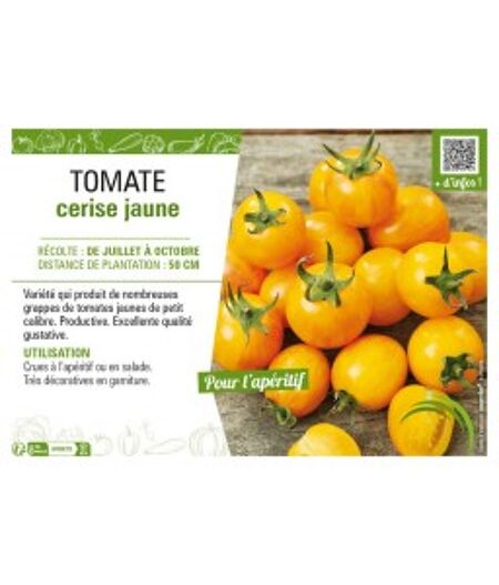 TOMATE CERISE JAUNE