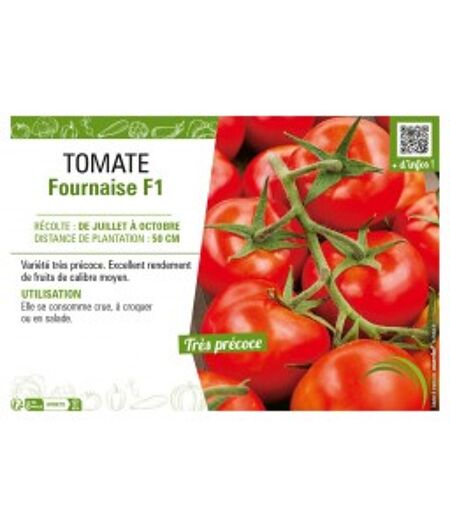 TOMATES FOURNAISE