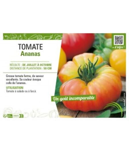 TOMATES 