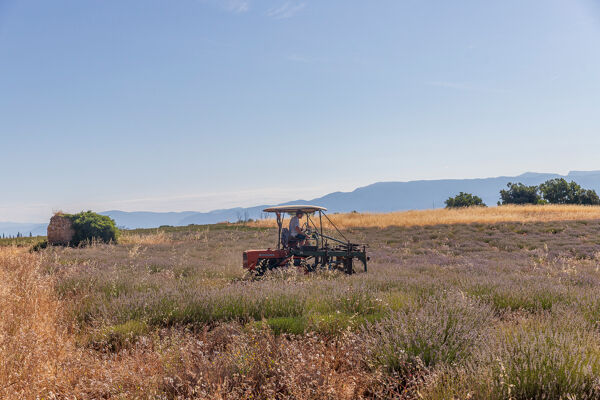 Découvrez la richesse de notre terroir