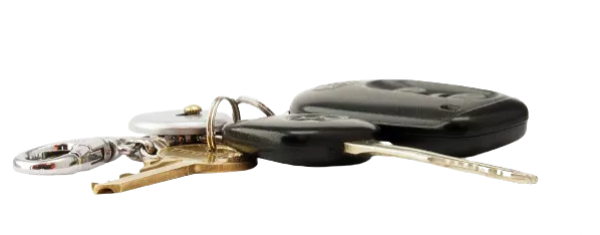 Nos services de reproduction