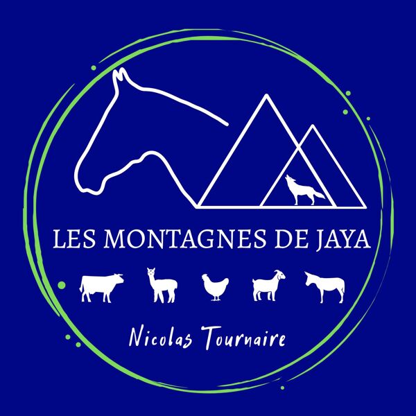 Les Montagnes de Jaya - Nicolas Tournaire