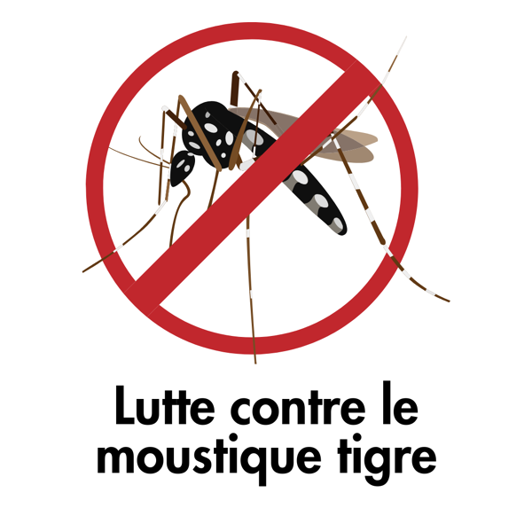 Les moustiques