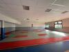 dojo