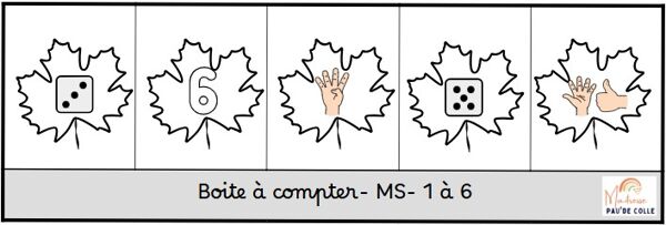 Boite à compter forêt