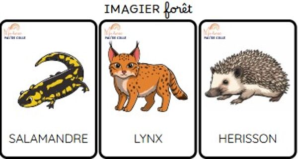 Imagier foret & jungle