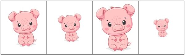 Classement par taille