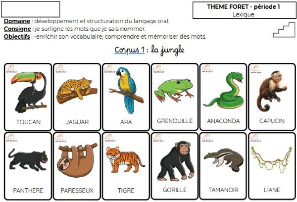 Fiche élève : lexique forêt/ jungle