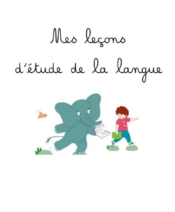 Livret de leçons étude de la langue