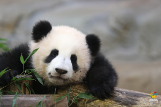 Découvrez notre spa à travers notre galerie photo n°25