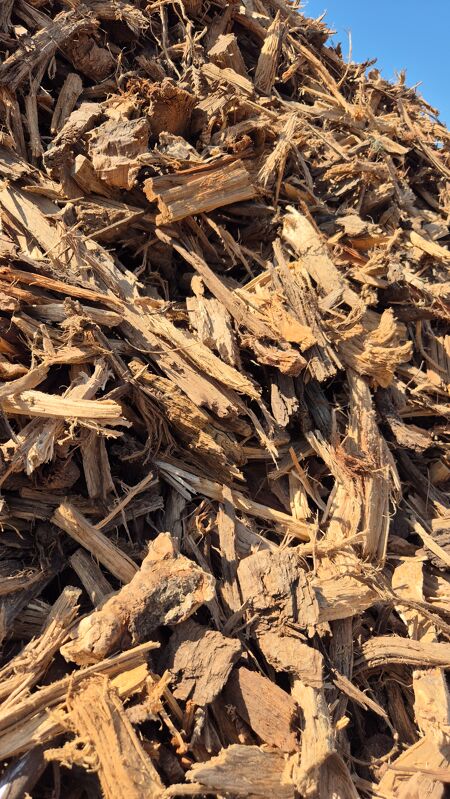 VENTE :  Bois d'allumage - VRAC