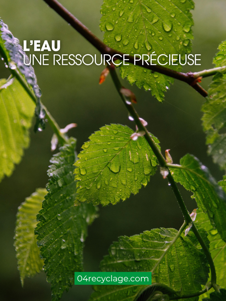 ENVIRONNEMENT