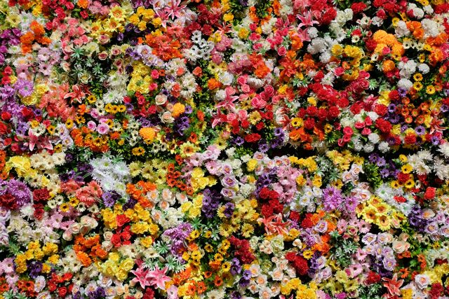 Fleurs