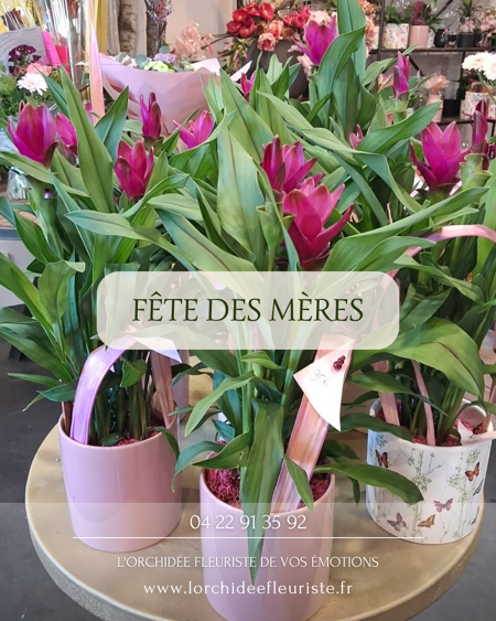 Célébrer les mamans avec la délicatesse et la poésie des fleurs 🌸