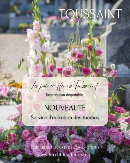 Les pots de fleurs de la Toussaint arrivent en boutique la semaine prochaine 💖