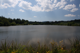 Etang de la Plagnette