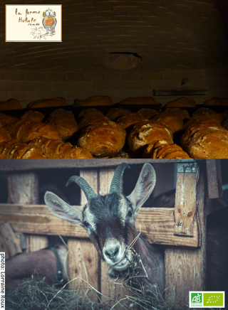 La ferme hulule