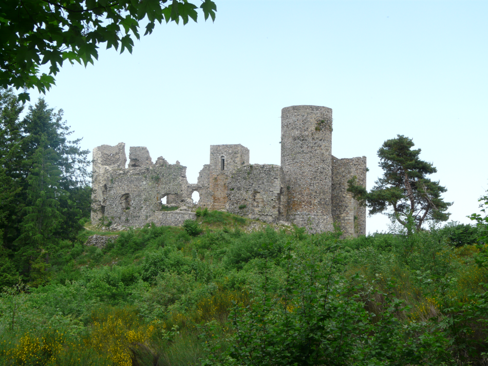 Le Château dit "des Cornes d'Urfé" Photo