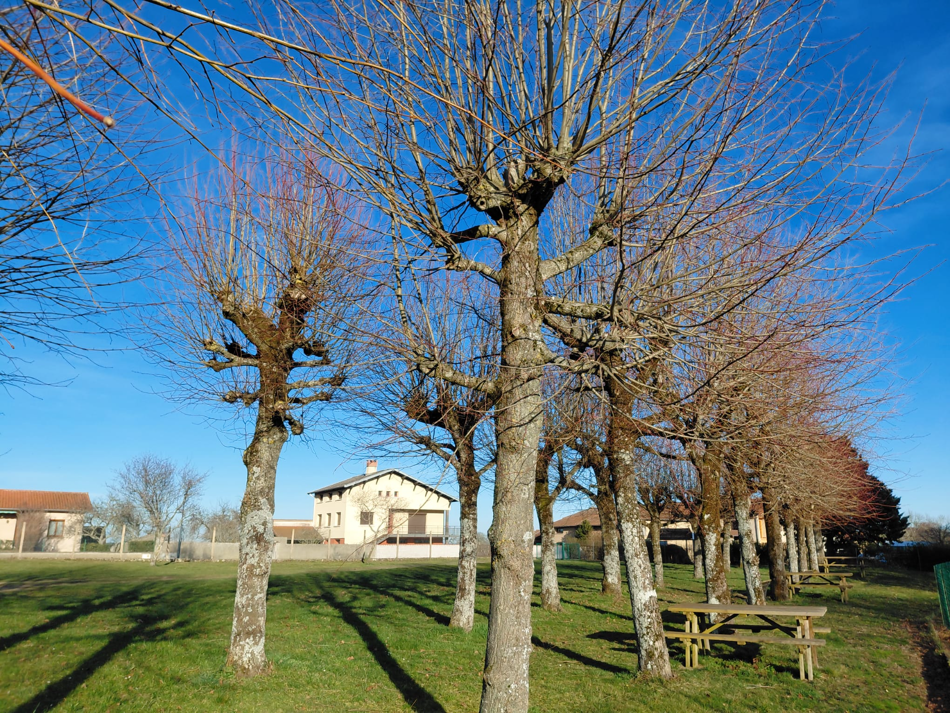 Aire de pique nique Esplanade Abbé Grosbost Photo