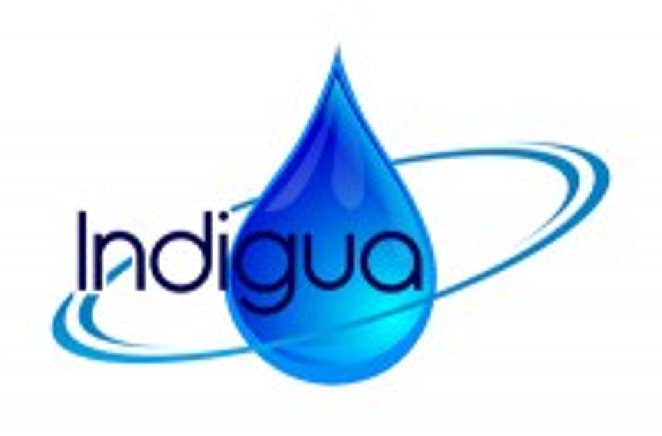 indigua Logo
