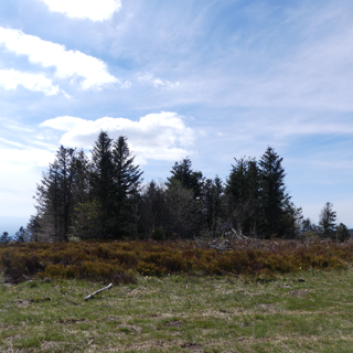 Puy de Montoncel